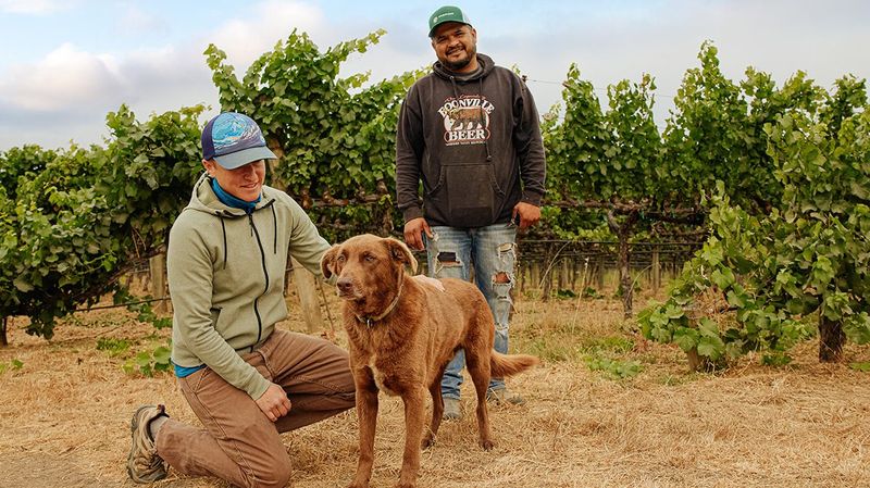 Mendocino Wine Trail