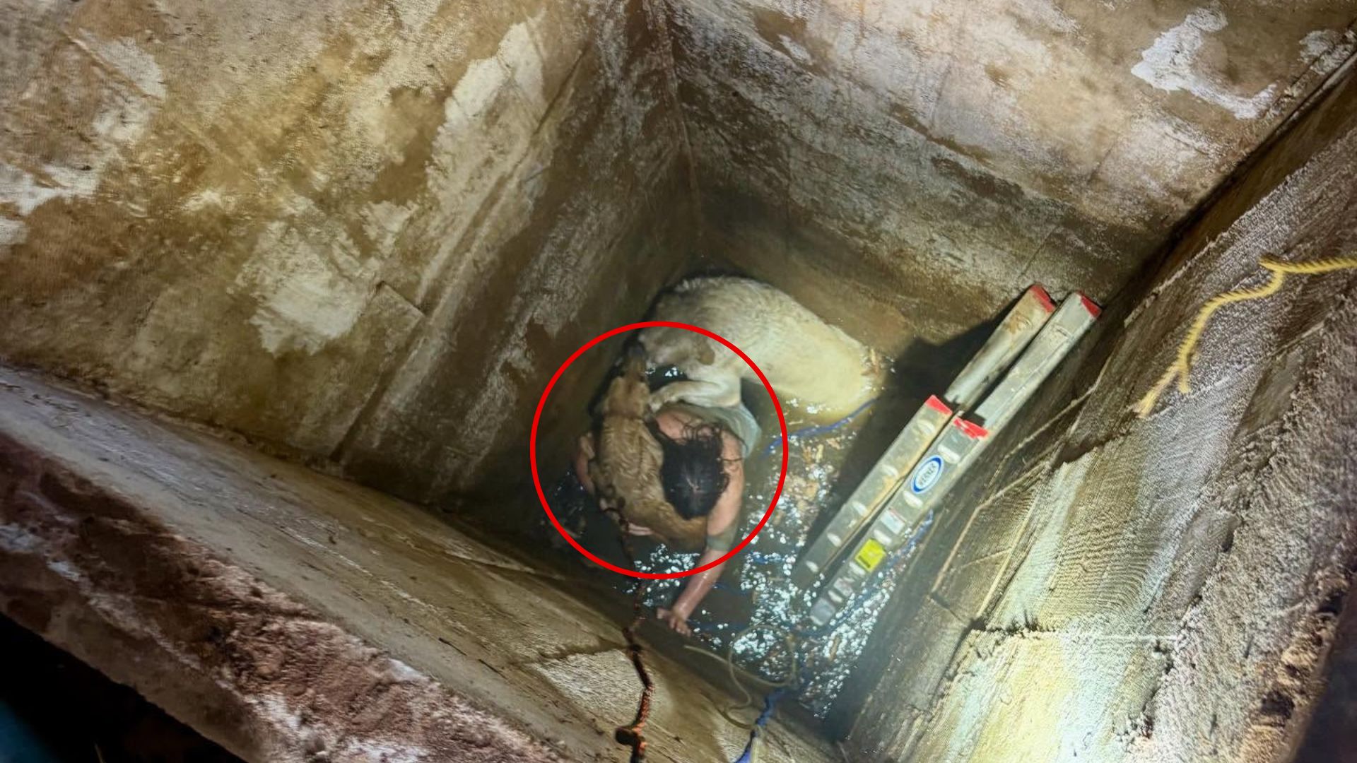 teen and dogs trapped in a well