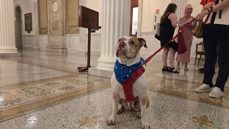 Massachusetts' Breed Restrictions