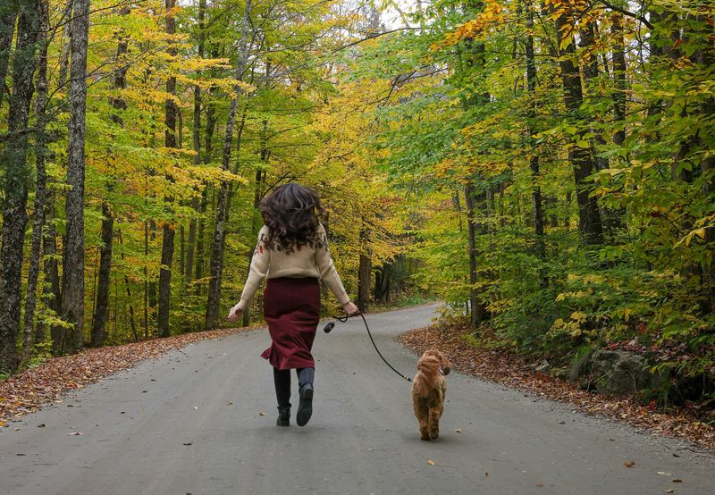 Vermont's Four-Season Wonderland