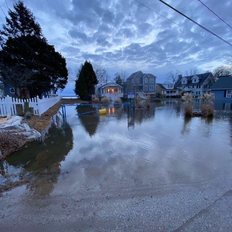 Maryland: Chesapeake State's Costly Pet Predicaments