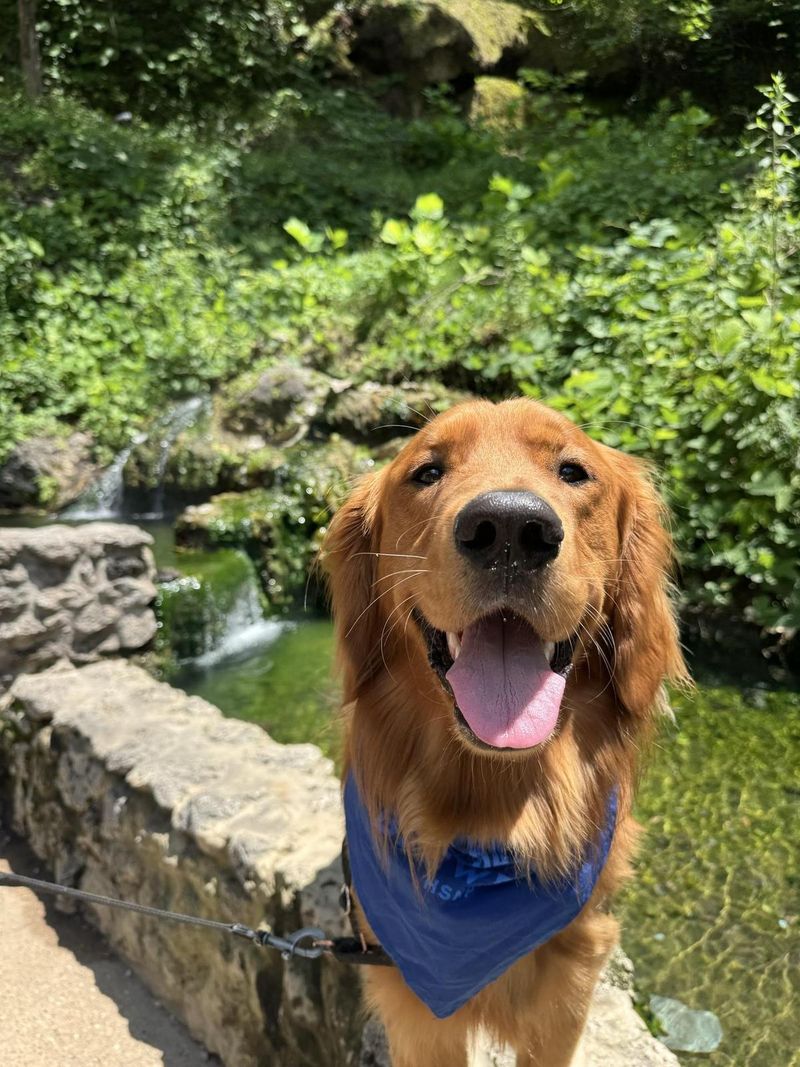 Hot Springs National Park (Arkansas)