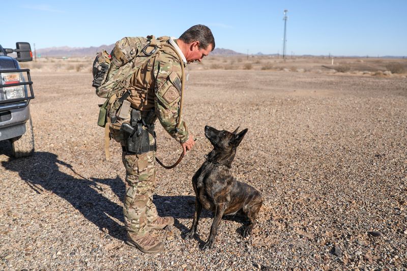 Texas Rangers' Four-Legged Deputies