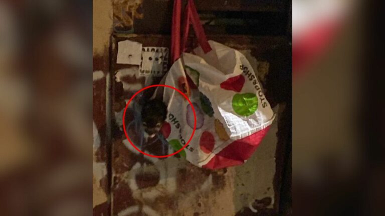 bag hanging on a container