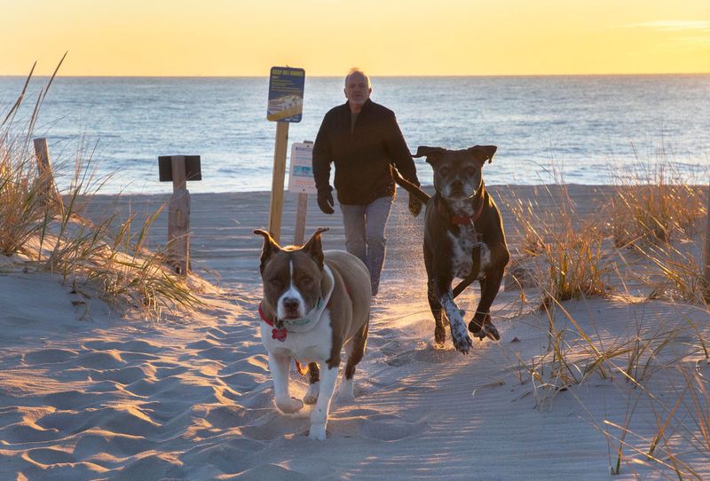 New Jersey's Shrinking Dog Spaces
