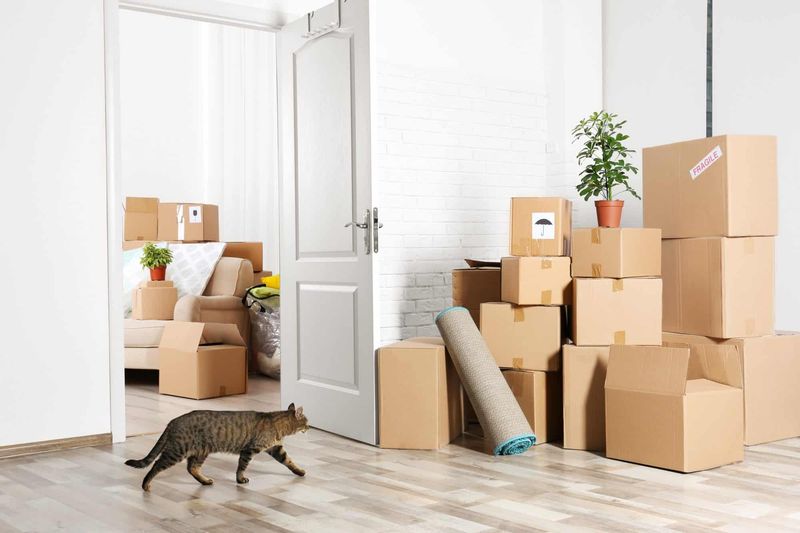 Adapting To Changing Environments
