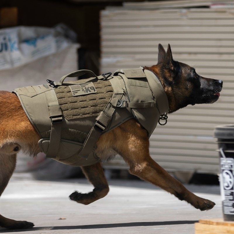 Next-Generation Protective Vests for Aerial-Ground Teams