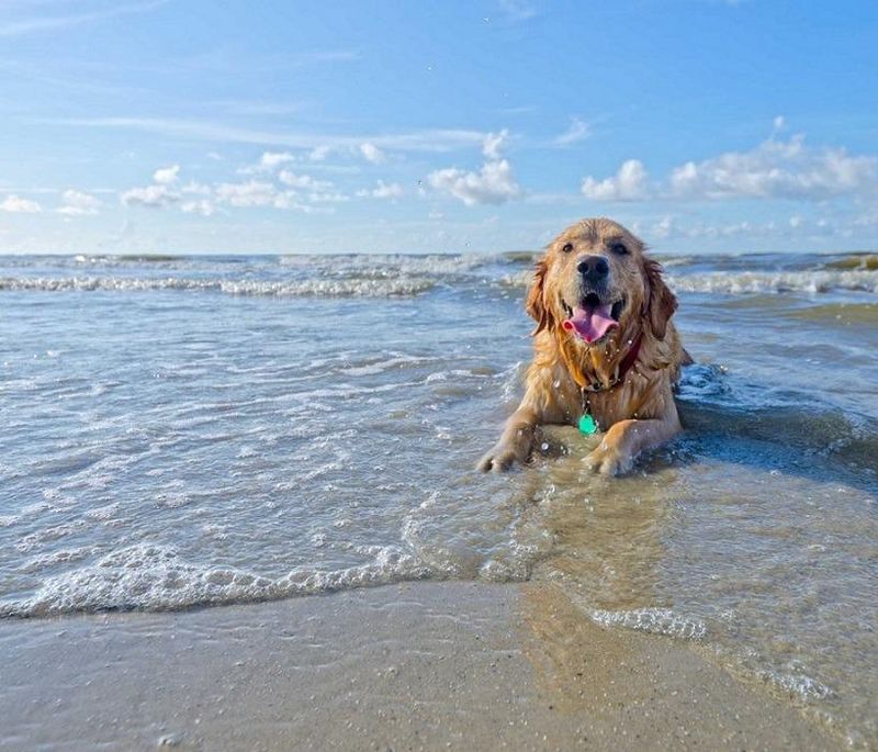 Edingsville Beach (Edisto Island)
