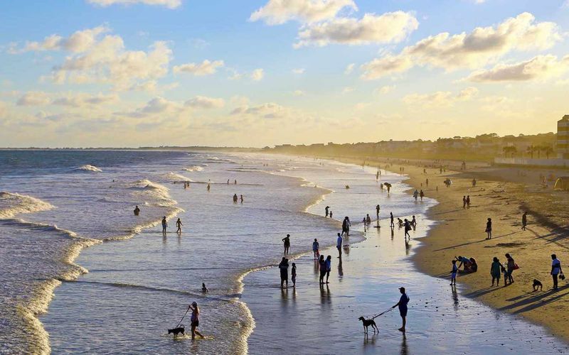 South Carolina's Coastal Breezes