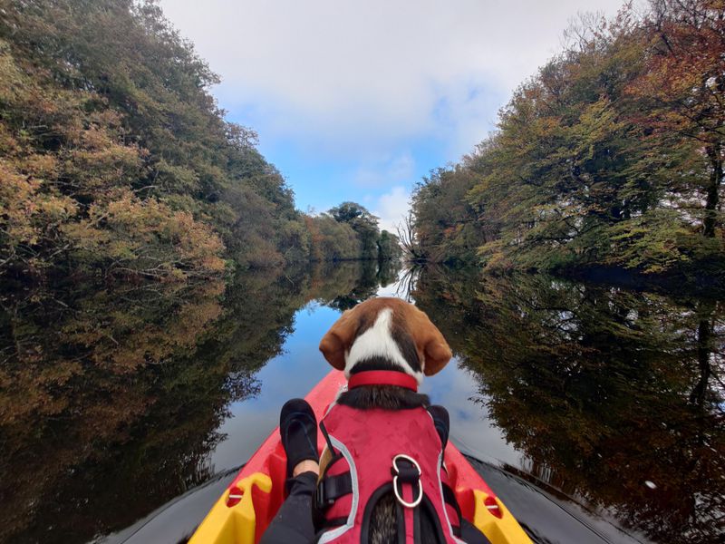 Perfectly Portable Size For Any Adventure