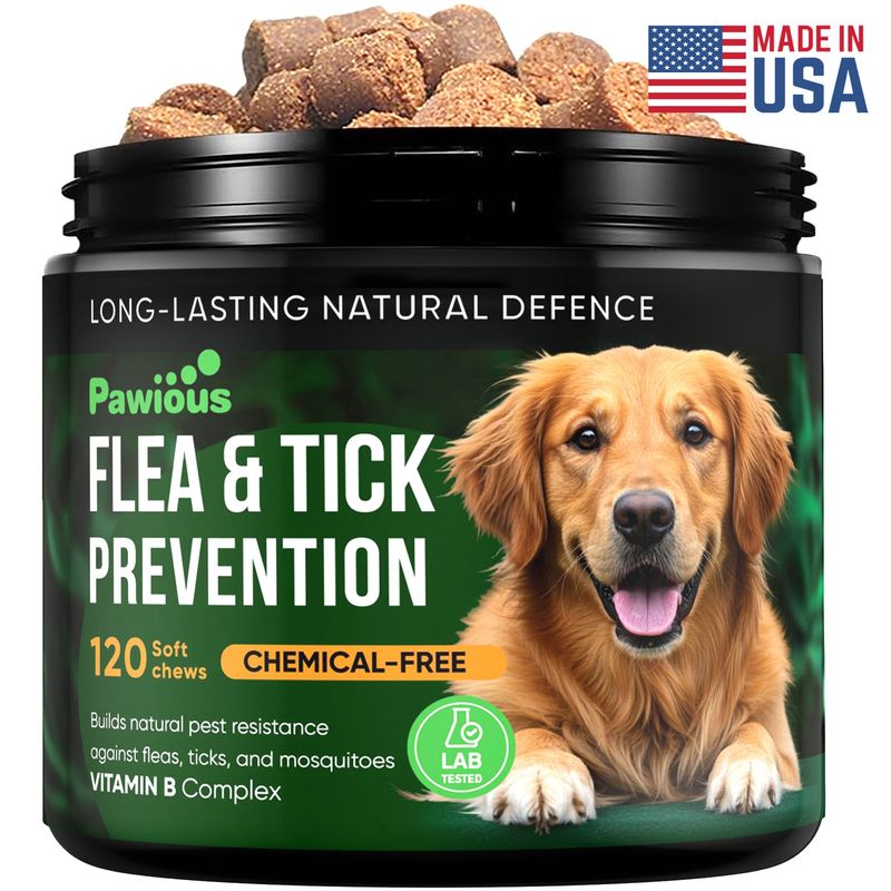 Ignoring Flea And Tick Prevention