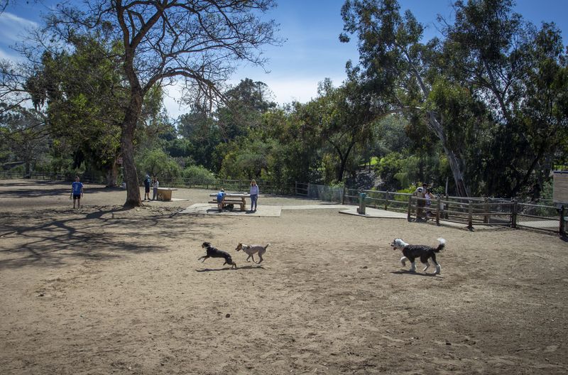 Balboa Park's Nate's Point: Historic Haven for Hounds