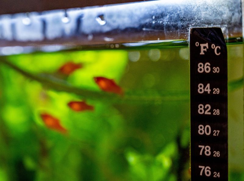 Monitor Water Quality Regularly