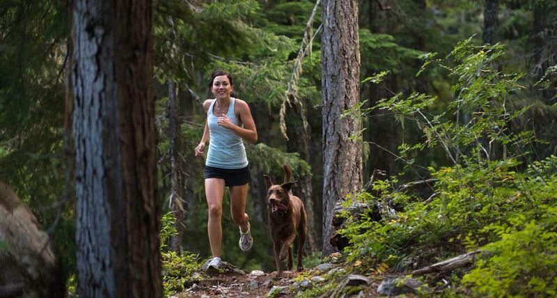 Washington's Evergreen Playground