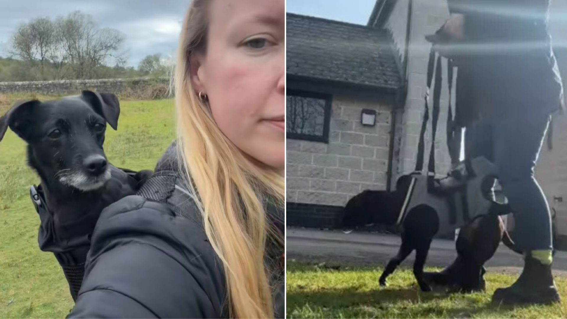 woman and black dog