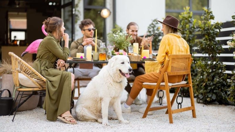 Chills At Outdoor Cafés