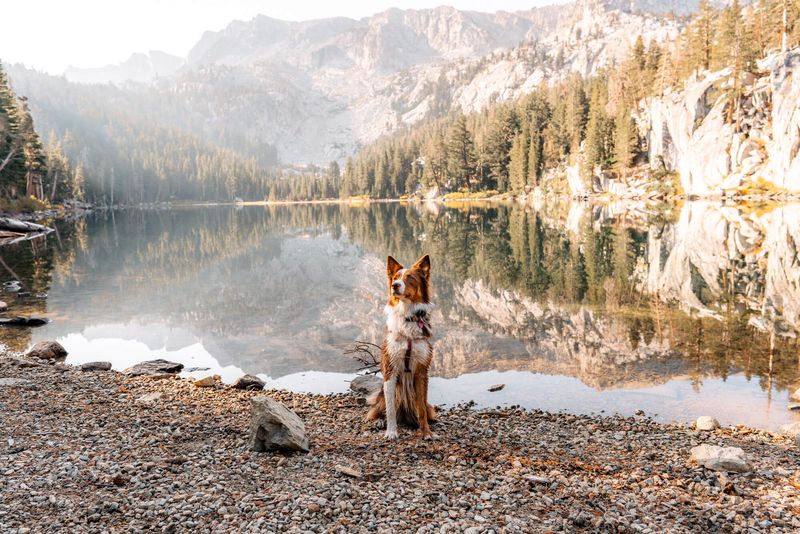 Yosemite to Mammoth Lakes