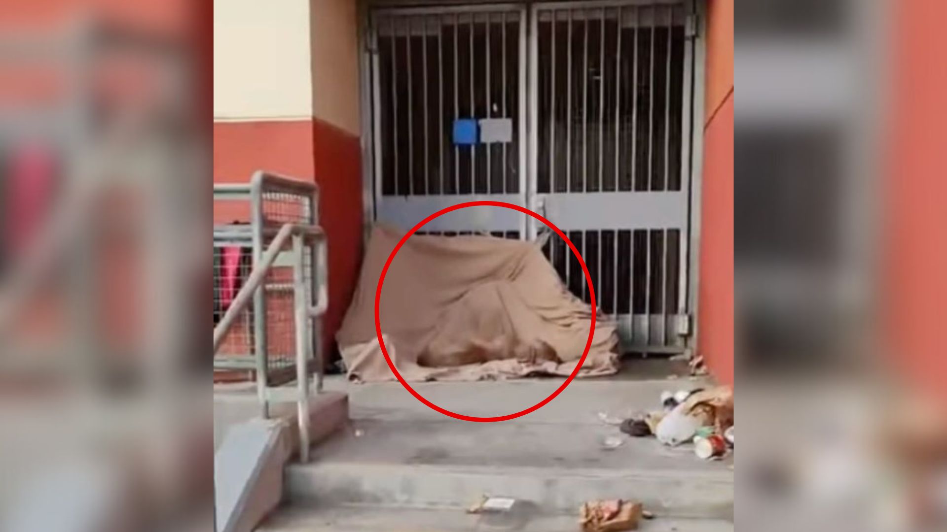 Passerby Noticed A Still Figure Curled On A Tarp Near A California Metro Station Then Realized What It Was