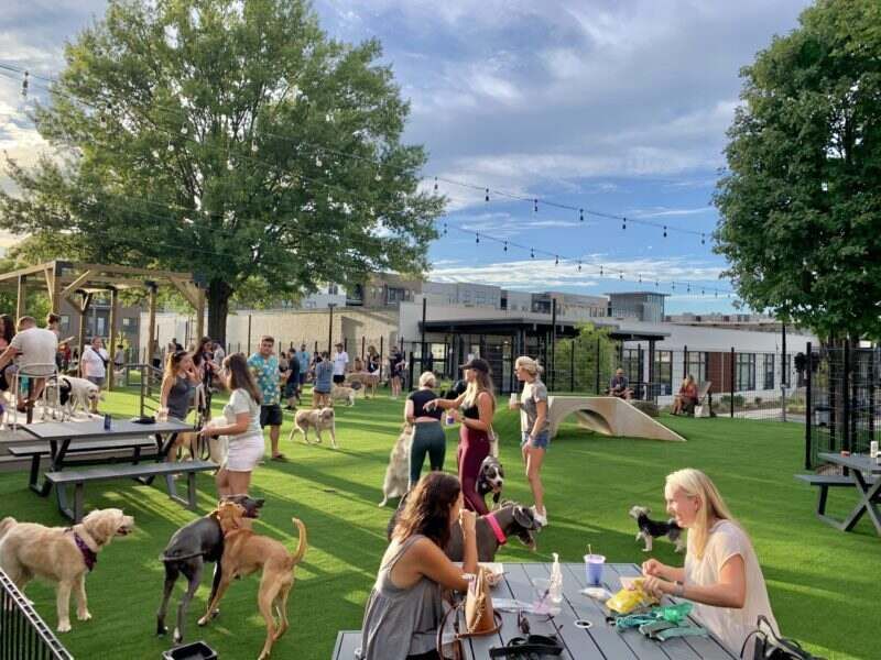 Charlotte, North Carolina: Southern Hospitality for Hounds
