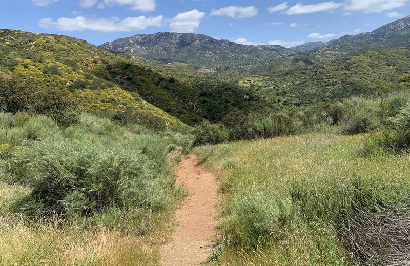 Hollenbeck Canyon Wildlife Area – Jamul, CA