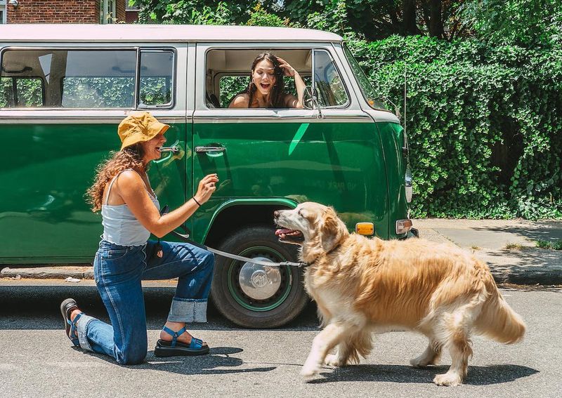 Pack A Dog Road-Trip Kit