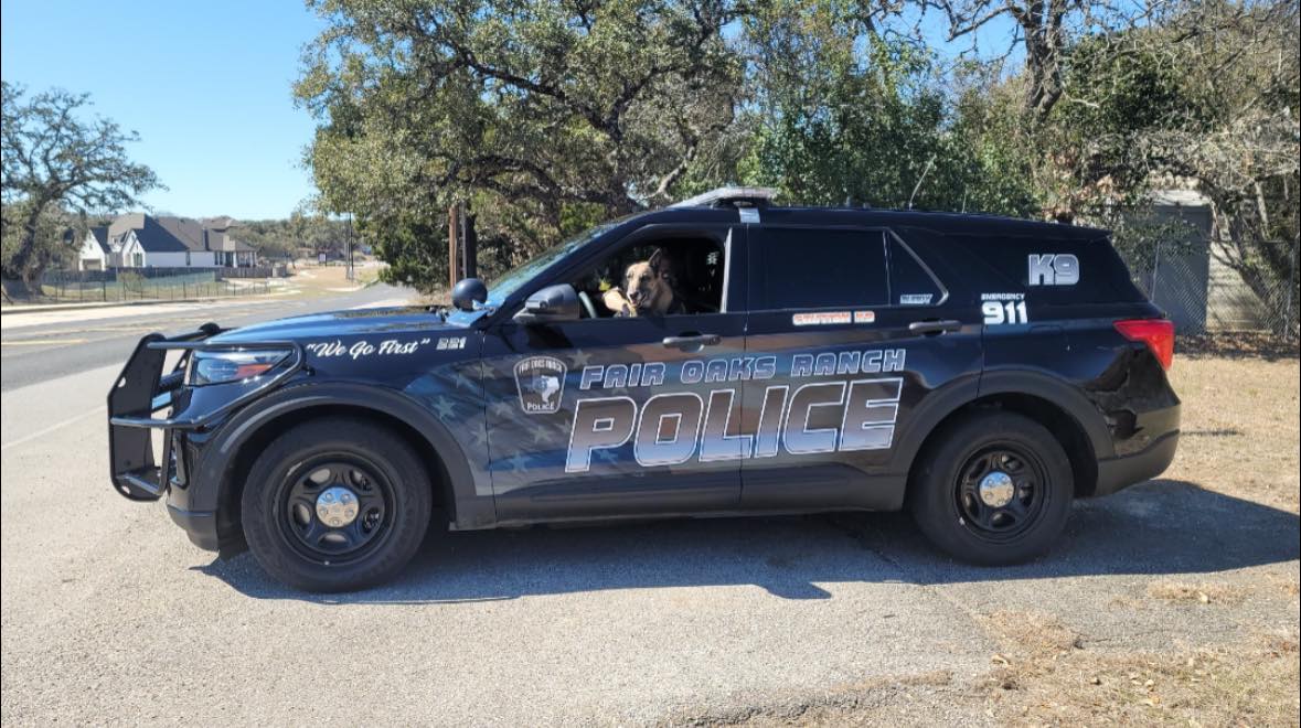 Police dog in police car