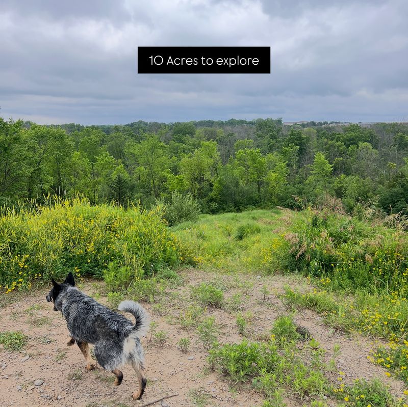 Granville Dog Park