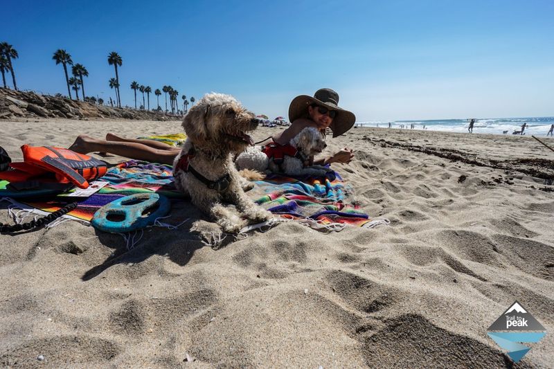 Has A Dedicated Beach Towel