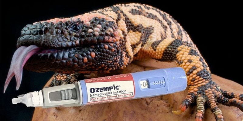 A Medical Marvel: How Gila Monster Venom Changed Diabetes Treatment