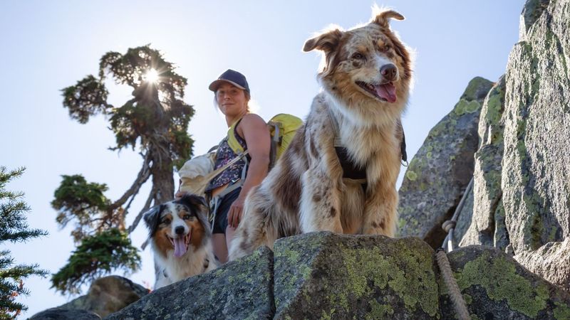 Perfect Hiking Companions For New Mexico Trails