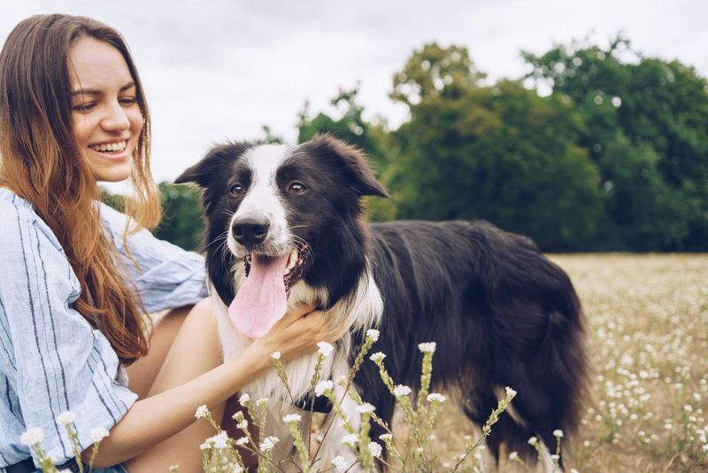 California's Pet Insurance Laws Demand Transparency