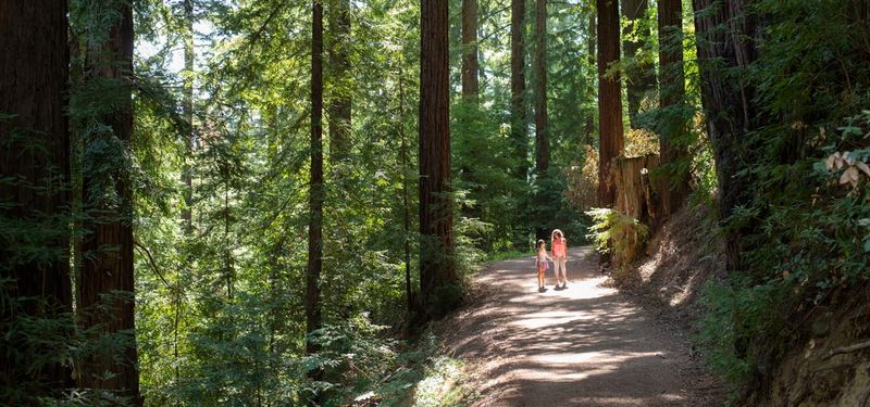 Bear Creek Redwoods Open Space Preserve – Los Gatos, CA