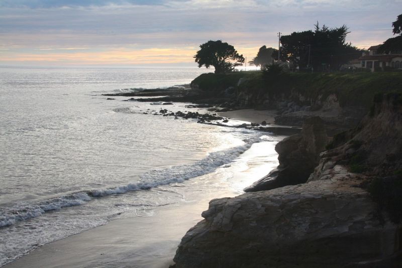 Mitchell's Cove Beach: Surf's Up for Sandy Paws