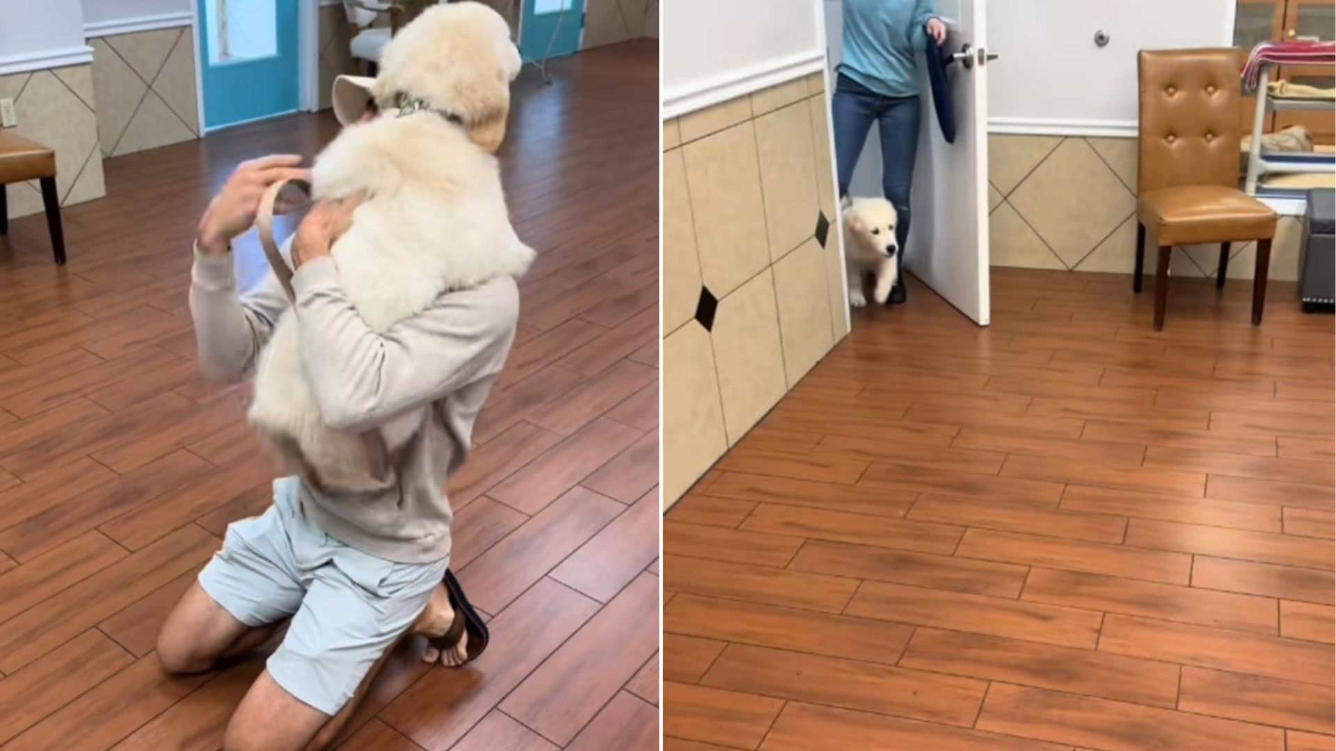 Puppy’s Reaction To Reuniting With Dad After First Florida Daycare Visit Is Pure Joy