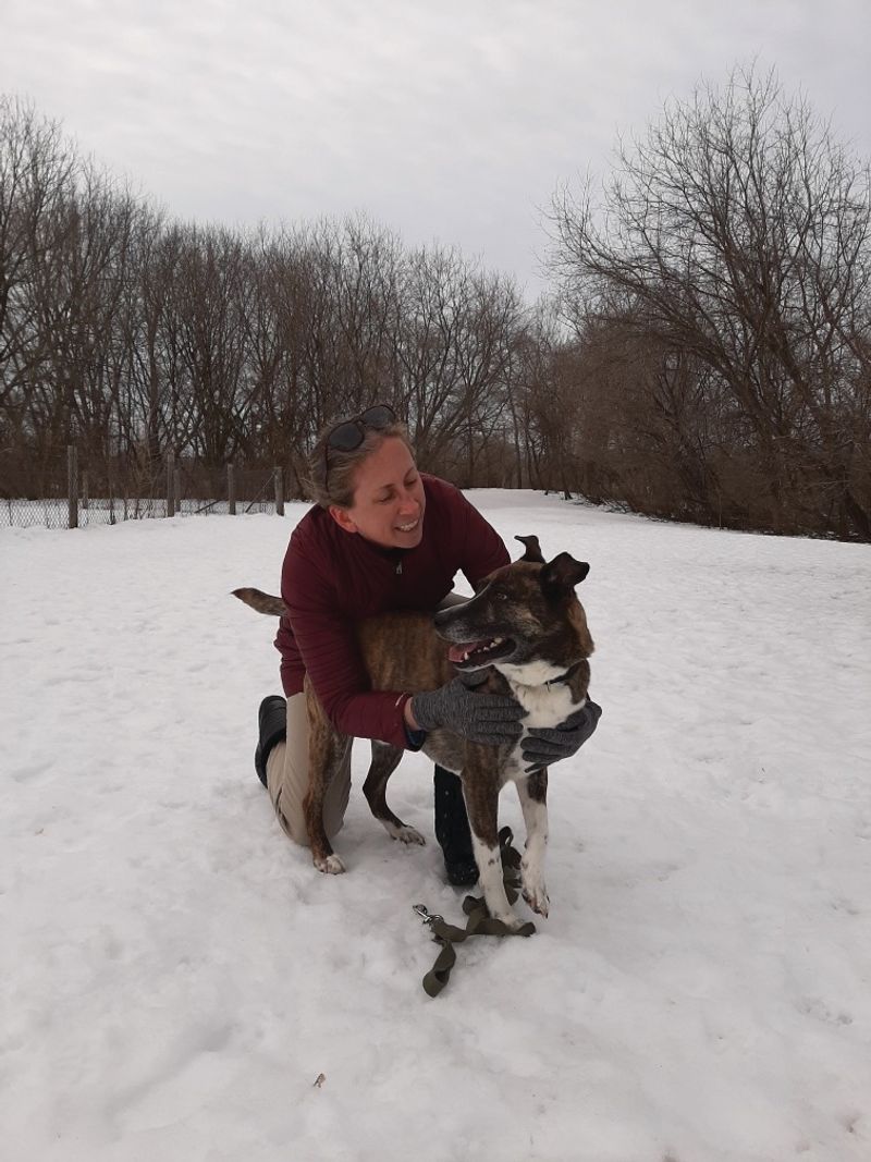 Warner Park Dog Area