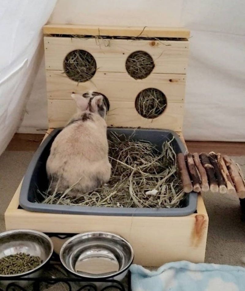 Litter Trainable