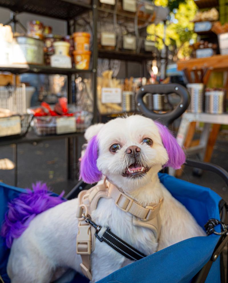 Enjoys Farmers Markets