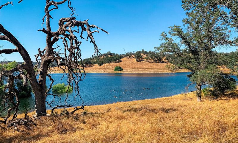 Folsom Lake State Recreation Area