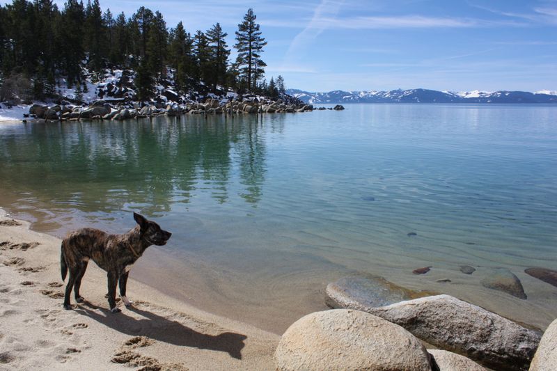 Lake Tahoe to Yosemite via Highway 50