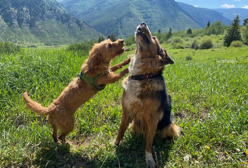 Playful Energy & Exploration