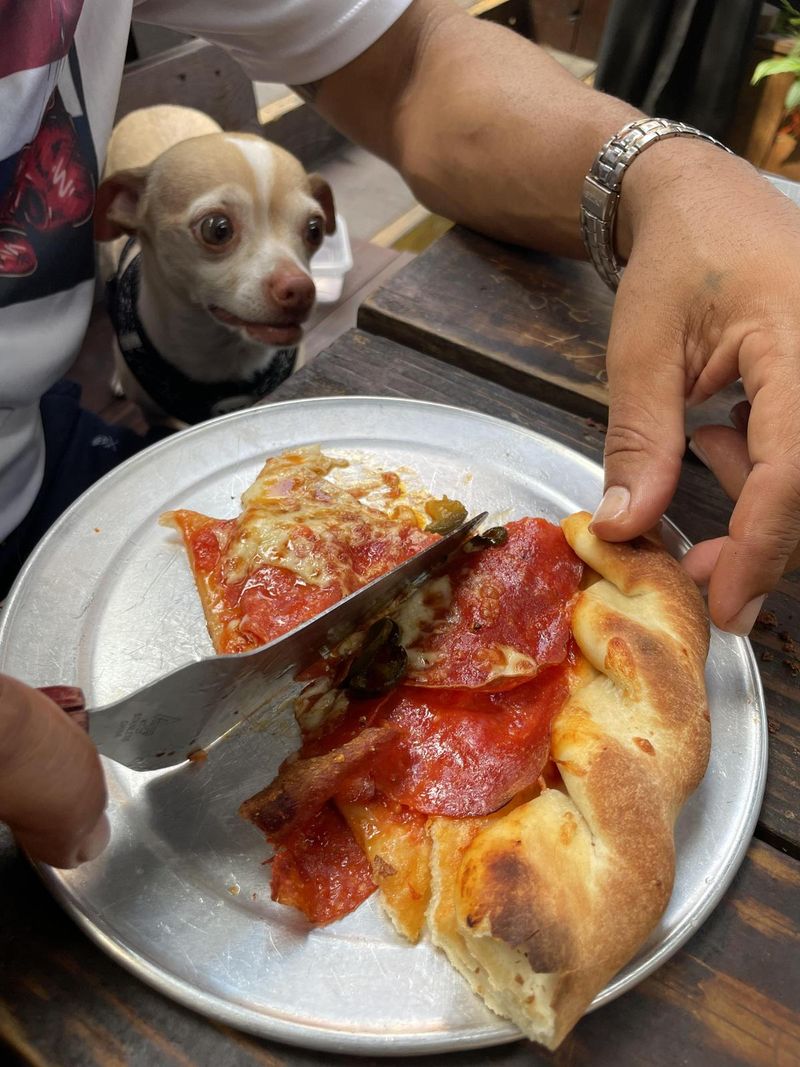 Grateful Head Pizza Oven & Tap Room