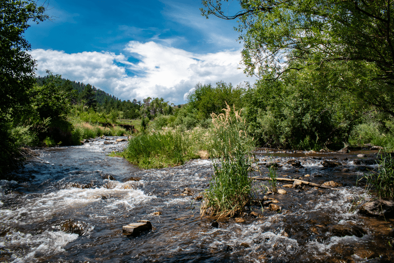 Bear Creek Trail