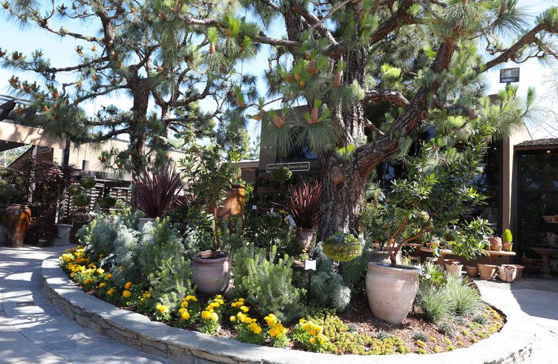 Roger's Gardens – Corona del Mar