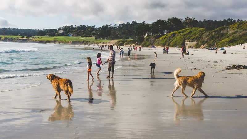 Santa Cruz to Monterey Peninsula