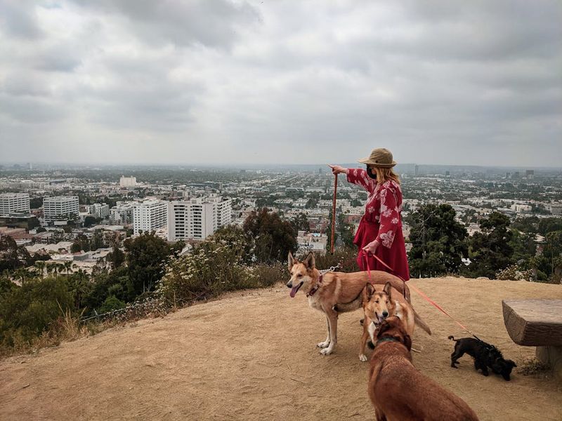 Los Angeles' Star-Studded Pet Scene