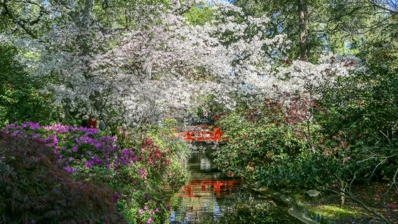Descanso Gardens – La Cañada Flintridge