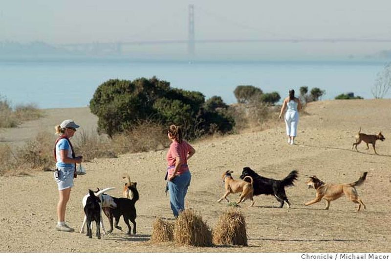 Oakland's Community-Centered Pet Programs