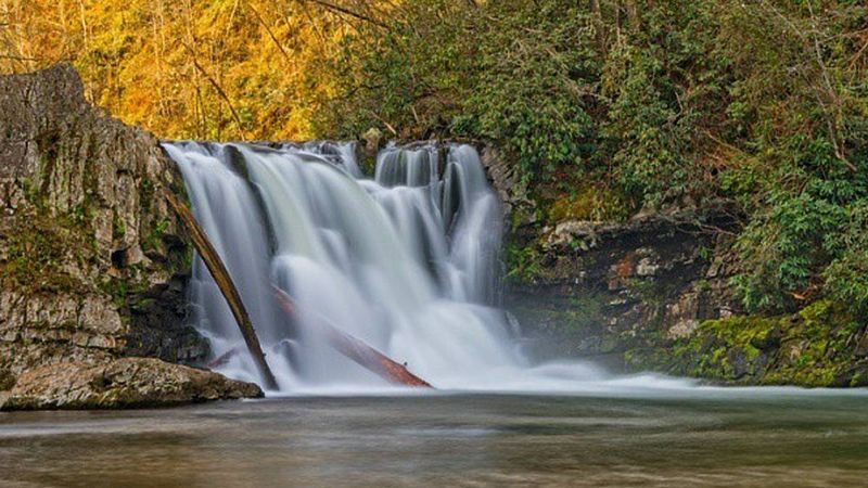 Abrams Falls Trail – Great Smoky Mountains