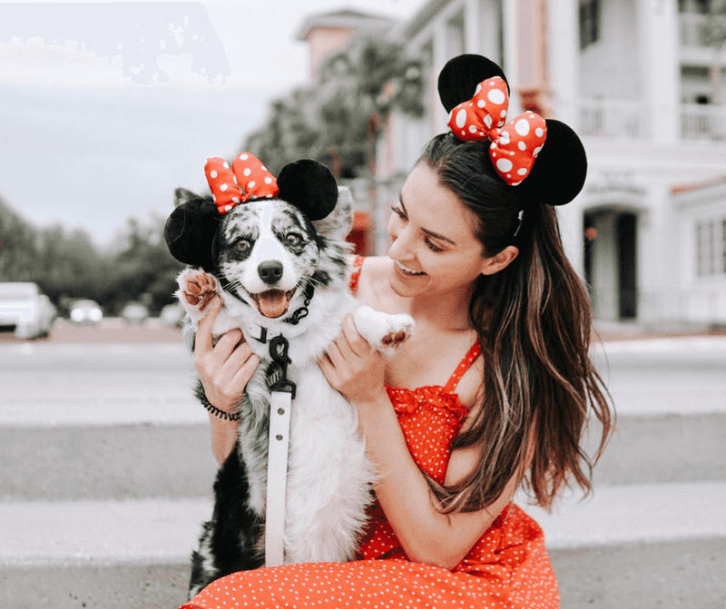 Orlando, Florida: Magical Kingdom for Canines