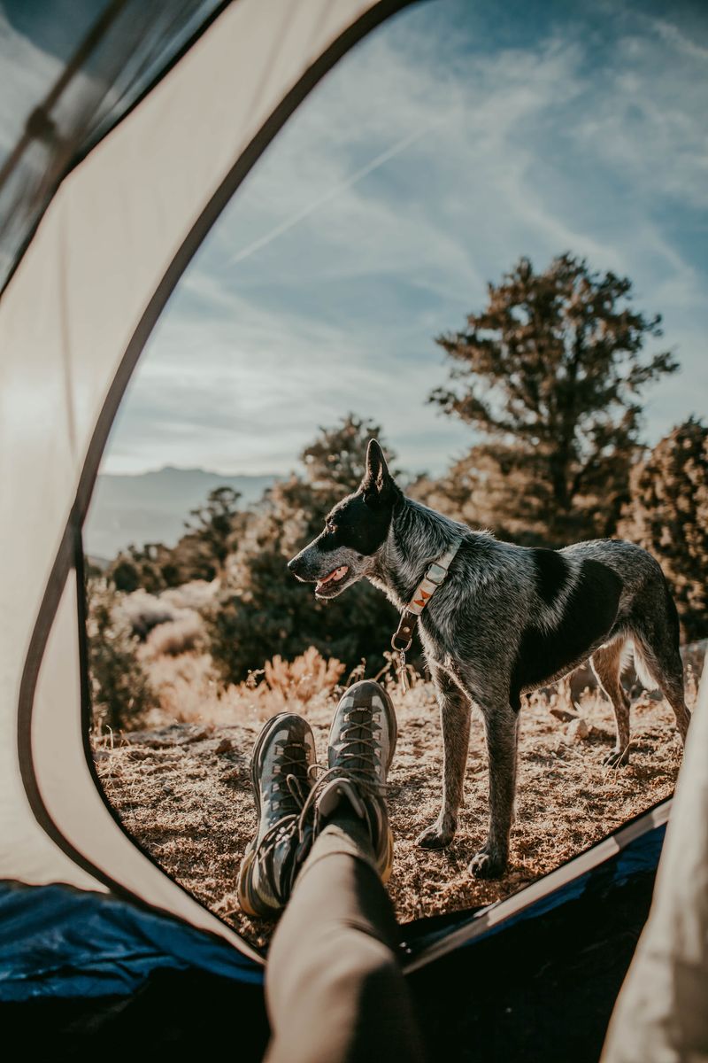 Stay Cool In The Desert Heat